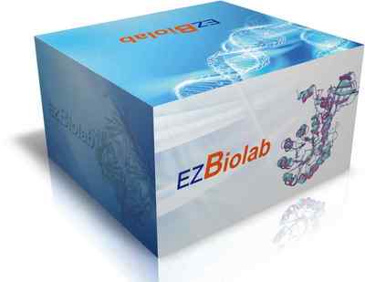 上海生孚生物技術展臺 信息技術賦能生物耗材產品展示