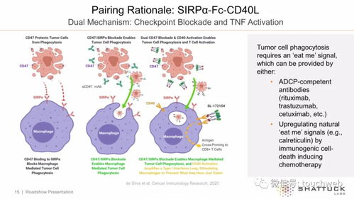 生物技術公司Shattuck上市首日大漲14%，市值突破7億美元